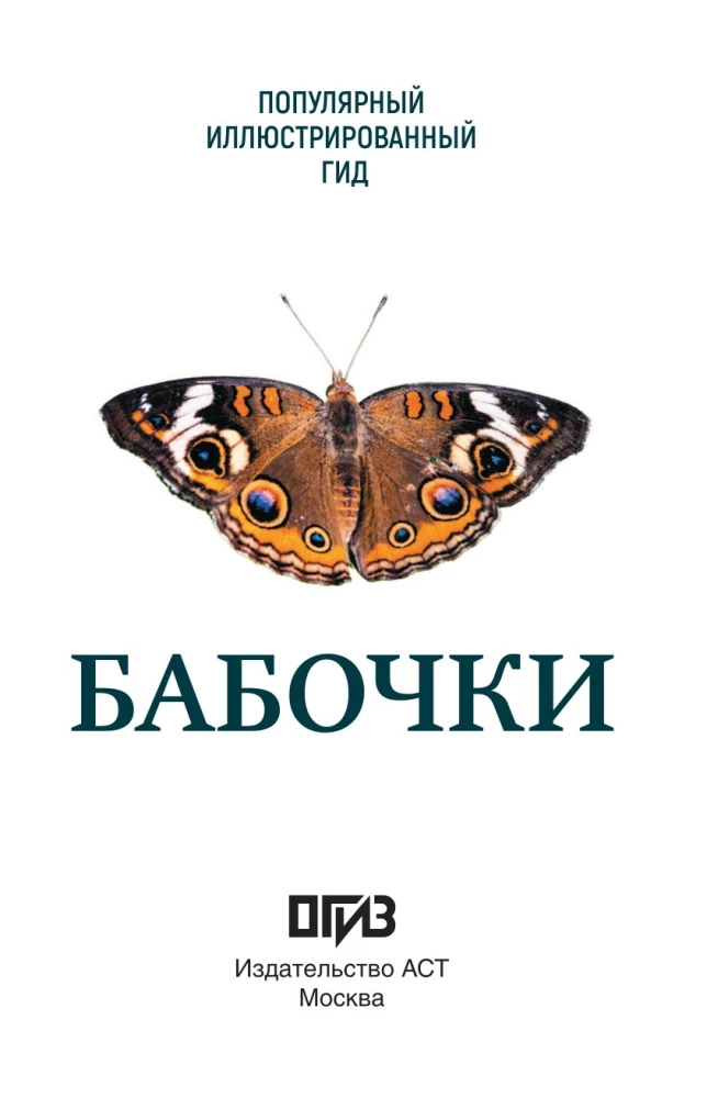 Taureņi. Ilustrēts ceļvedis